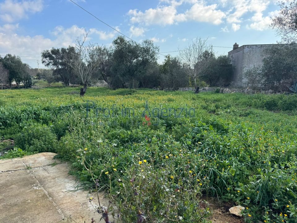 Landejendom i Carovigno, Brindisi - foto 2
